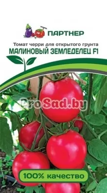 Томат F1 Малиновый земледелец