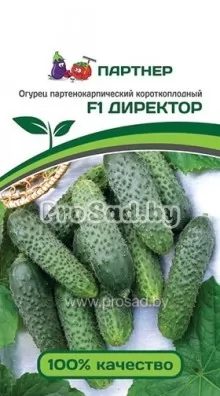 Огурец F1 Директор