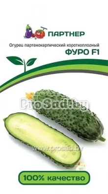 Огурец F1 Фуро