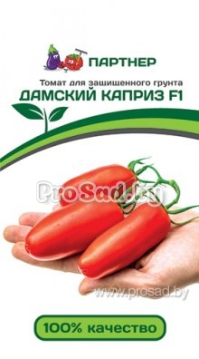 Томат F1 Дамский каприз