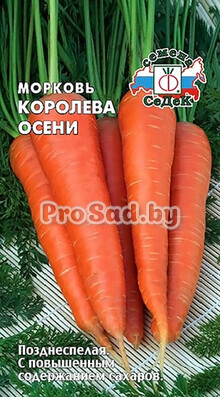 Морковь Королева осени