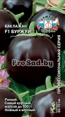 Баклажан F1 Буржуй