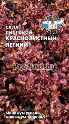 Салат листовой Краснолистный летний