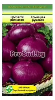 Лук репчатый Кривичский розовый