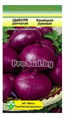 Лук репчатый Кривичский розовый