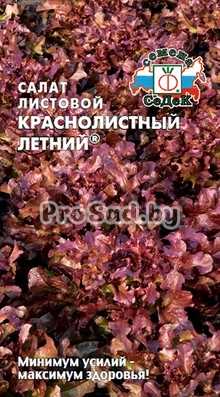 Салат листовой Краснолистный летний
