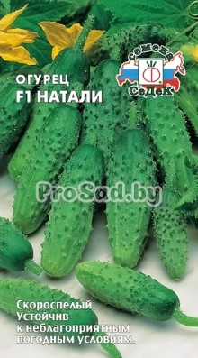 Огурец F1 Натали