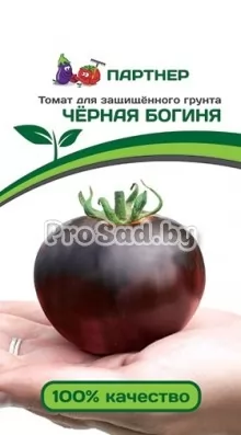 Томат Чёрная богиня