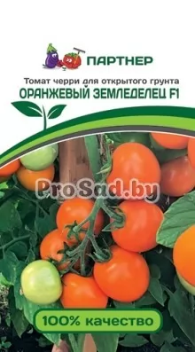 Томат F1 Оранжевый земледелец