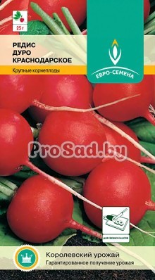 Редис Дуро Краснодарское