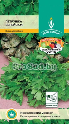 Петрушка листовая Верейская