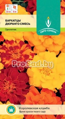 Бархатцы отклонённые Дюранго, смесь