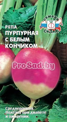 Репа Пурпурная с белым кончиком