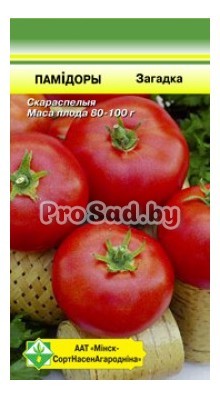 Томат Загадка