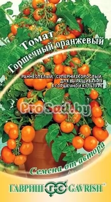 Томат Горшечный оранжевый