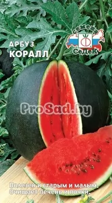 Арбуз Коралл