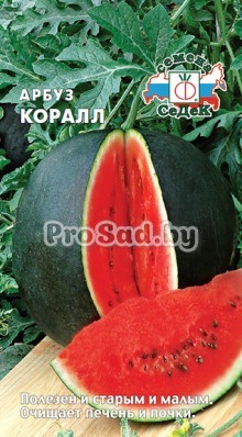 Арбуз Коралл