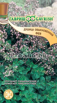 Душица обыкновенная Фея