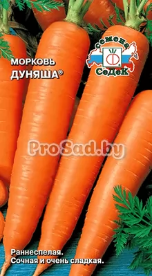 Морковь Дуняша