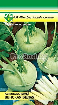 Капуста кольраби Венская белая