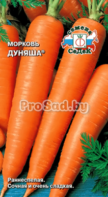 Морковь Дуняша