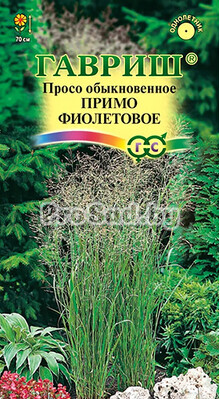 Просо декоративное Примо