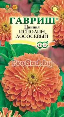 Цинния Исполин лососевый
