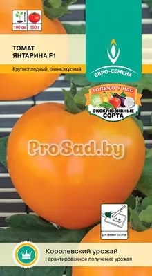 Томат F1 Янтарина