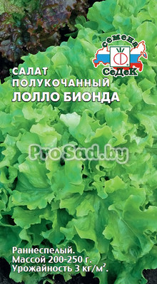 Салат полукочанный Лолло Бионда