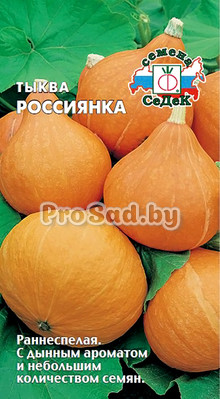 Тыква Россиянка