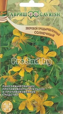 Зверобой продырявленный Солнечный
