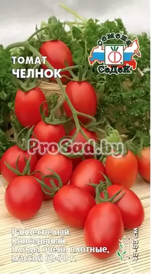 Томат Челнок