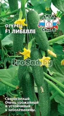 Огурец F1 Либелле