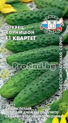 Огурец-корнишон F1 Квартет