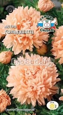 Астра Гольдшатц