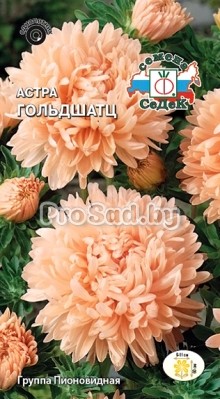 Астра Гольдшатц