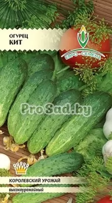 Огурец Кит