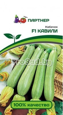 Кабачок F1 Кавили