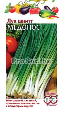 Лук шнитт Медонос