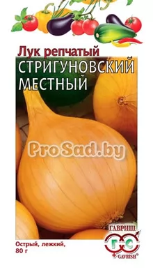 Лук репчатый Стригуновский местный
