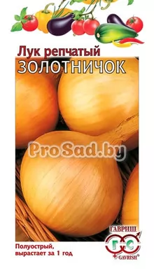 Лук репчатый Золотничок