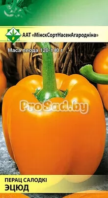 Перец сладкий Этюд