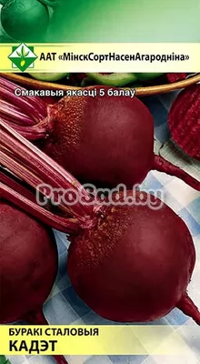 Свекла столовая Кадет