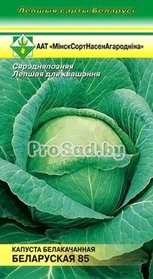 Капуста белокочанная Белорусская 85
