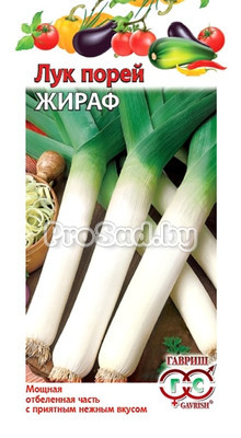 Лук порей Жираф