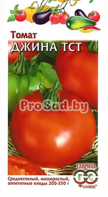 Томат Джина ТСТ