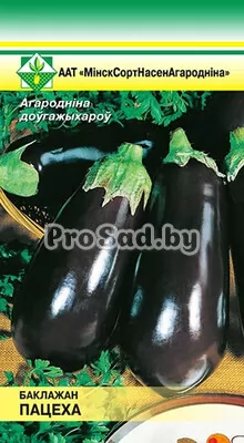 Баклажан Потеха