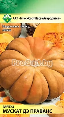 Тыква Мускат де Прованс
