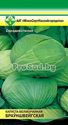 Капуста белокочанная Брауншвейгская