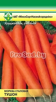 Морковь Тушон (Германия)